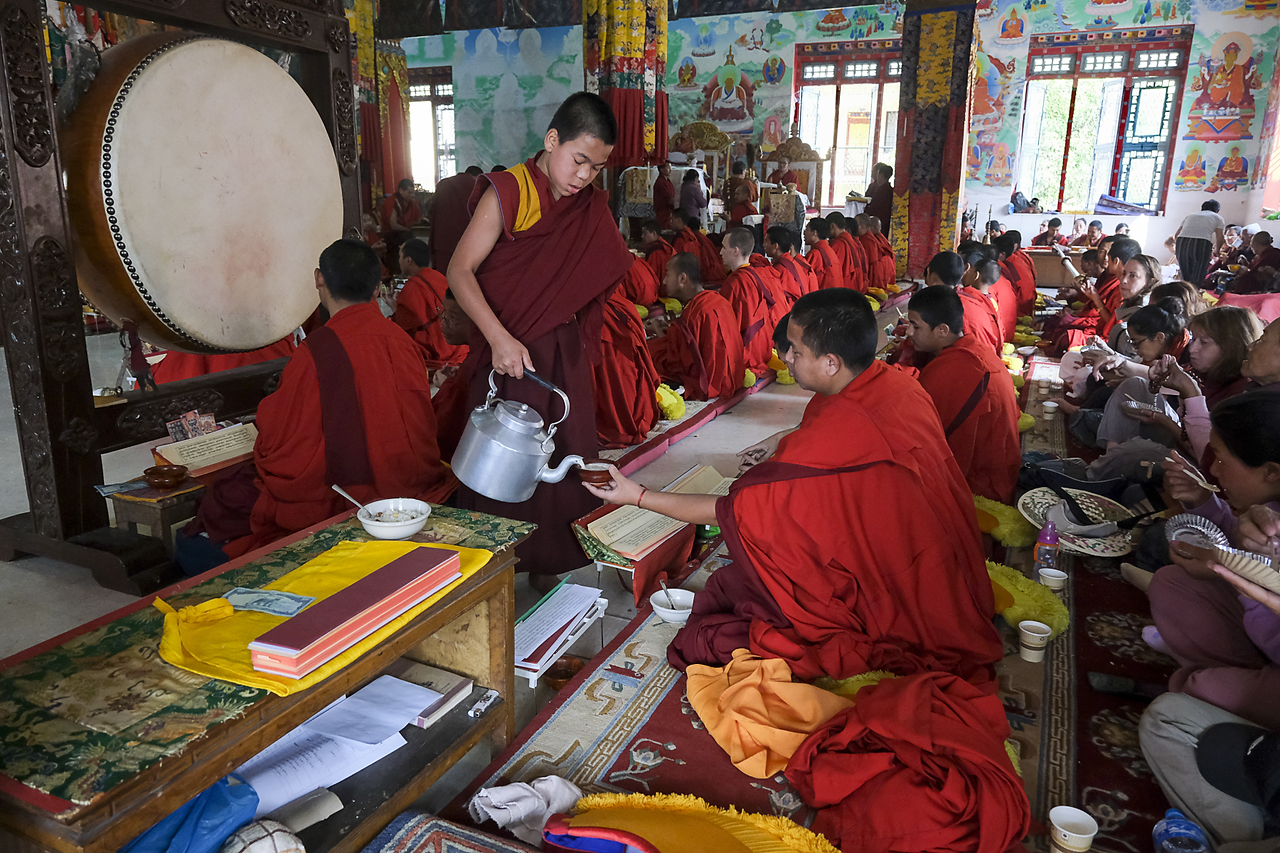 DOTSO Kathmandu Dov Oron