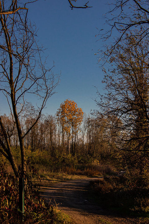 Laotrahernandez _ Landscape _ Fotógrafa colombiana _ Paisaje _ fotografia paisajistica Lombardia, Italia
