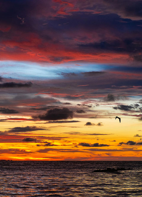 Laotrahernandez - Laura hernandez Fotografía de paisaje Colombia El pais de la belleza