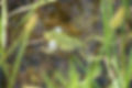 DSC01614.JPG