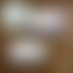 Dr. Böhm Gelenks Complex Aktion 