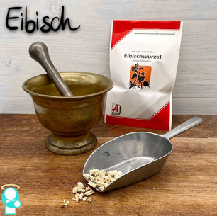 Eibisch (Althaea officinalis)