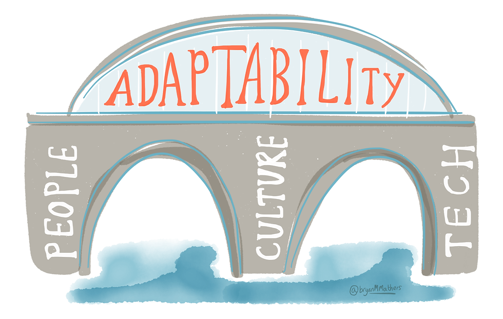 Adaptability 