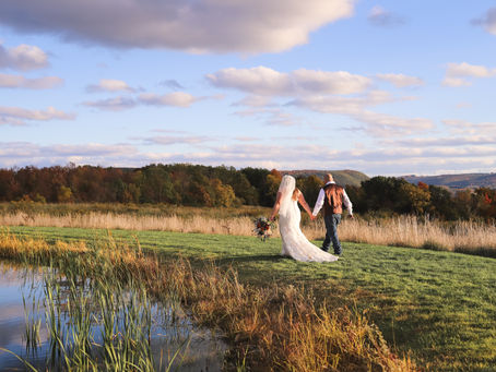 Should I have a Wedding Website?