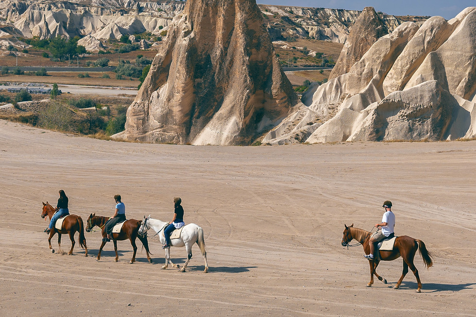 Horse Tour
