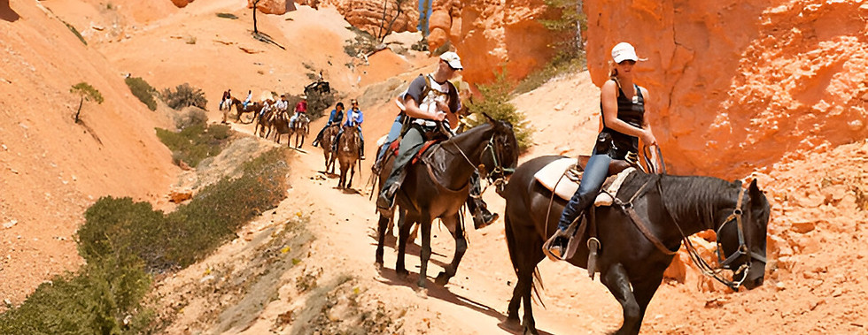 Cappadocia Horse Tour