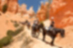 Cappadocia Horse Tour