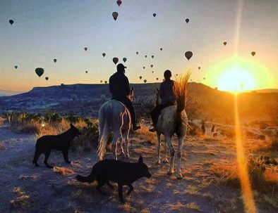 Horse Tour