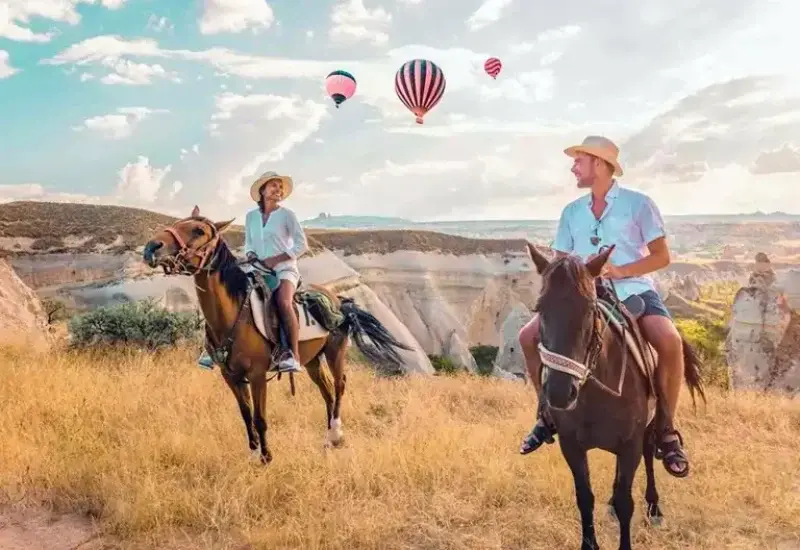 Horse Tour