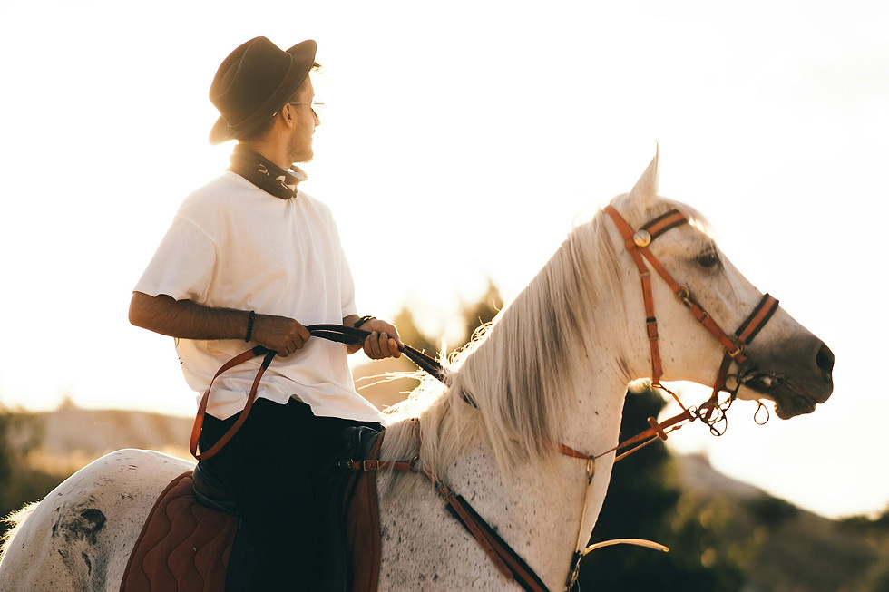 Horse Tour