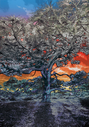 Screen Shot 2021-12-08 at 8.53.32 PM.png