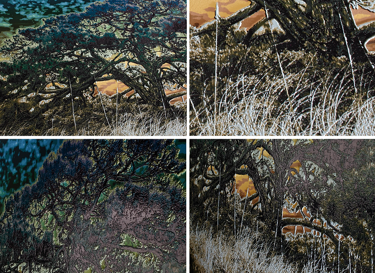 Screen Shot 2021-12-08 at 8.59.19 PM.png