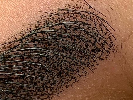 What are PowderBrows?