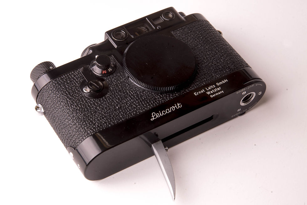 Leica IIIg + Leicavit