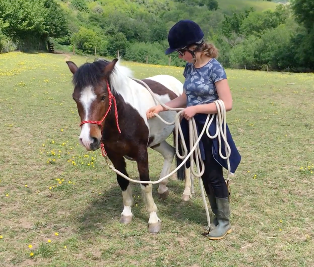 Horse & Heart
Holistic Training Livery
www.Horse-and-Heart.com