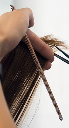 Hair dressers hands cutting hair