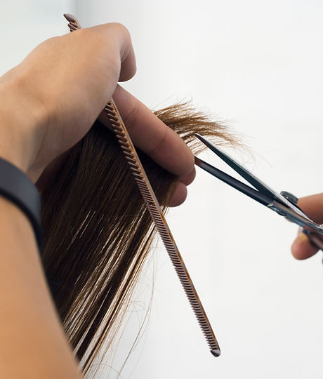 Hair Stylist Cutting Hair