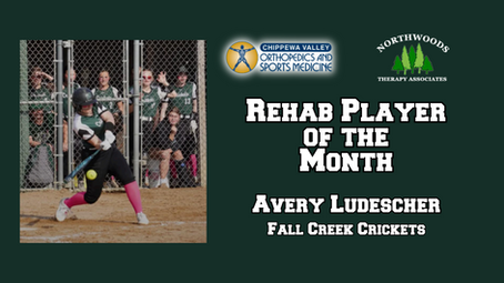 Ludescher returns to action after ACL tear