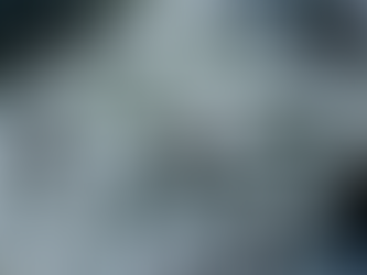 Up close frost on a plant's leaves