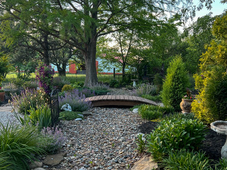 A xeriscaped yard with rock, plants, and a bridge