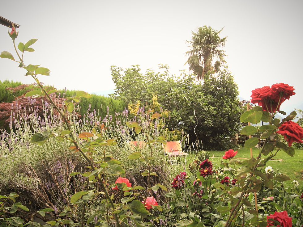 Relaxen inmitten der Blumen