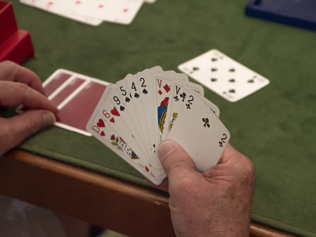 Options for Beginners to Play, Practice and Learn