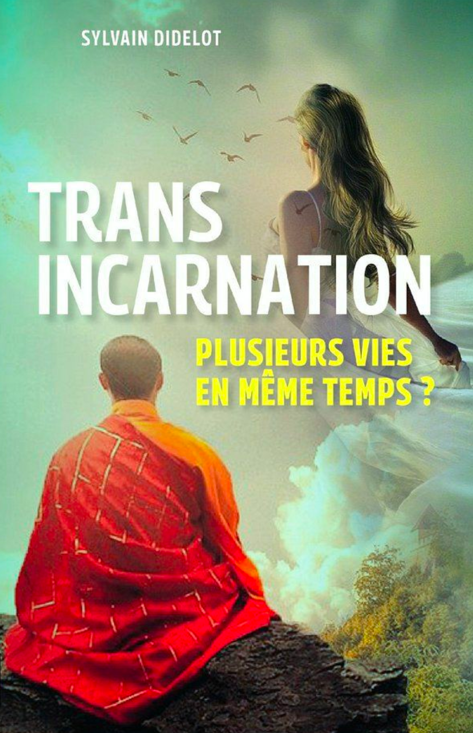 transincarnation plusieurs vies en meme temps sylvain didelot esoterisme