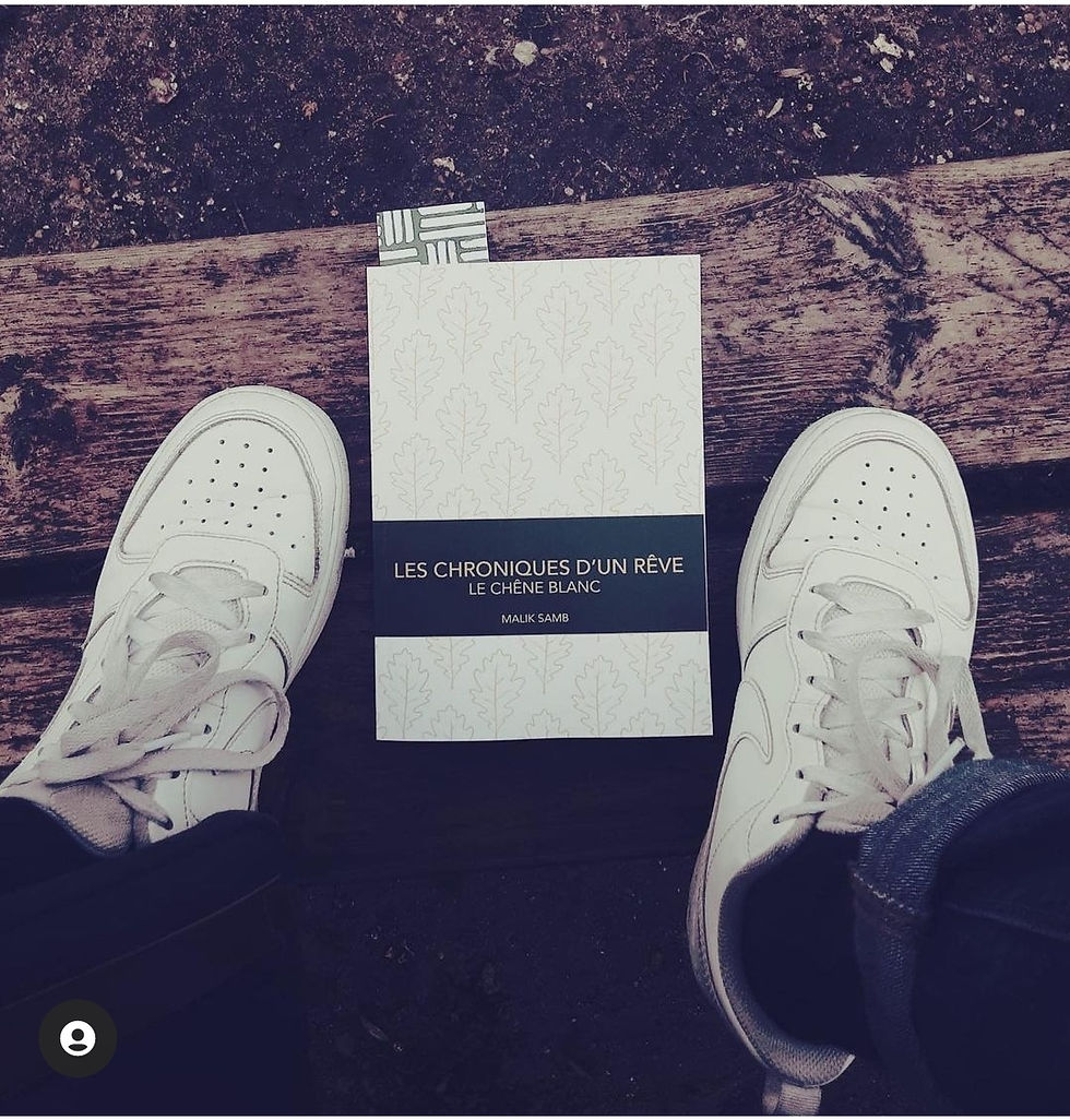 les chroniques dun reve le chene blanc malik samb tome 1