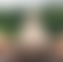 Kyoto, the Spiritual Heart of Japan: among Temples, Bamboos and Traditions