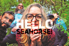 La Galaxia Hello Seahorse!