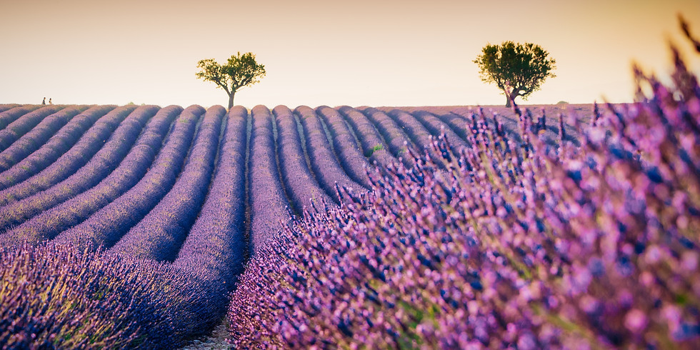 Webinar - Building a DoTerra Business