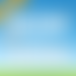 Ready, Set, Drone! A Summer of Soaring Fun