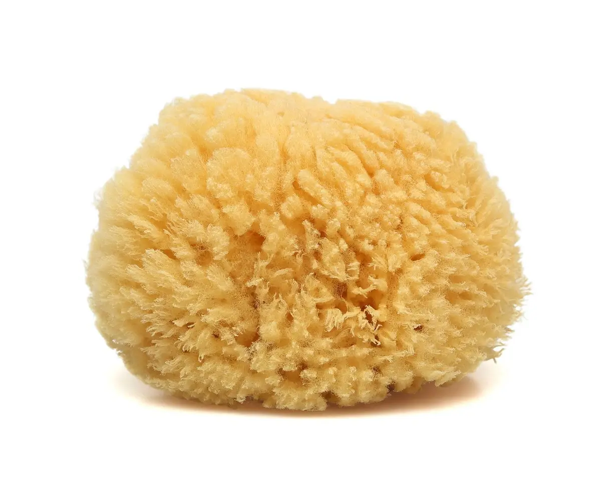 ESPONJA NATURAL