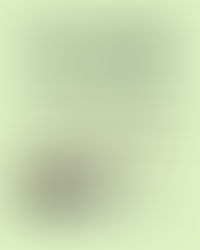 How to apply to the NSF-GRFP (in 7 weeks!)