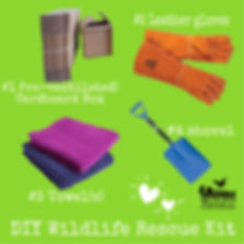 B3F37E2E-EF45-425A-9F03-4CD0A644CE23 (1)