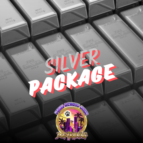 2 Week Board & Train (Silver Package)