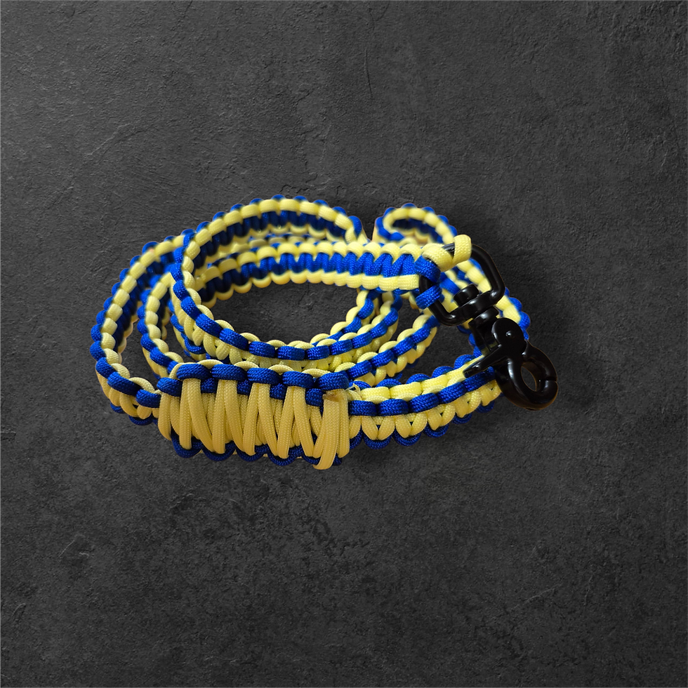 Thumbnail: Tangle Resistant Paracord Leash for Active Dogs