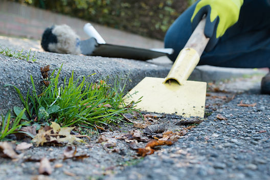 Spring cleaning - curb cleanup