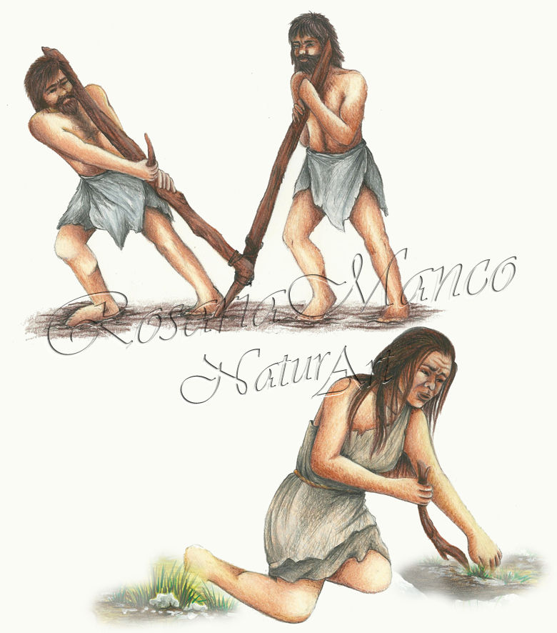 Uomini del Neolitico