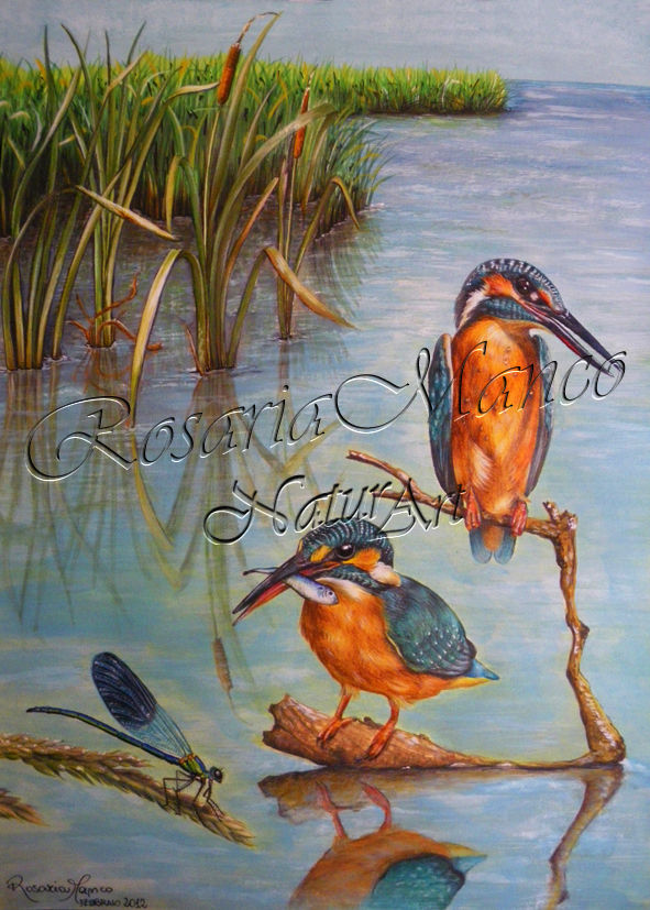 Ambiente lacustre - VENDUTO