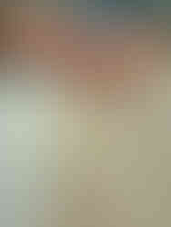 Momento operativo dell'attività.