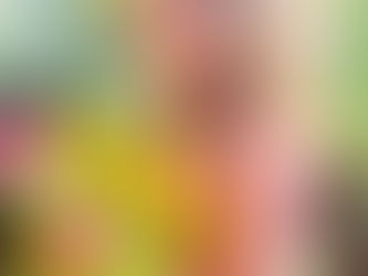 Taitù bon ton à porter e i suoi colletti