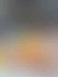 Momento operativo dell'attività.