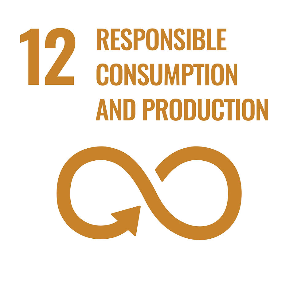 SDGs 12.jpg