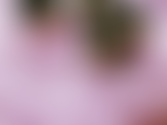 Shine On You Crazy Diamond: Syd Barrett and the “Mad Genius” Trope