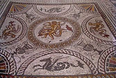 Dolphin_mosaic%20sm.jpg