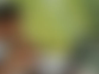 Why Freelancing is the New Trend Today