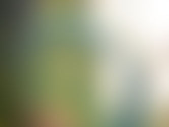Groene boomtakken in zacht zonlicht als symbool voor veiligheid, herstel van het zenuwstelsel en neuroplasticiteit.