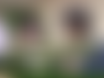 2024/11/07 [教育及文化委員會]TRONCLASS竟存在資安疑慮!沈伯洋請教育部和數發部盡快查明!