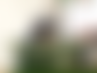 20250423【外交及國防委員會】沈伯洋解惑為何感覺不少公務文件列機密,接觸機密者不一定都能受忠誠考核該如何去提防?